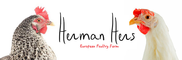 Herman Hers, gallinas de raza