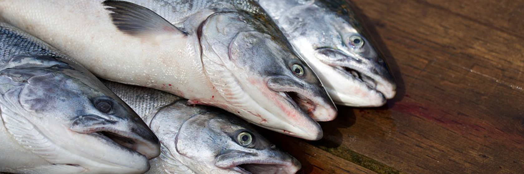 Pescados